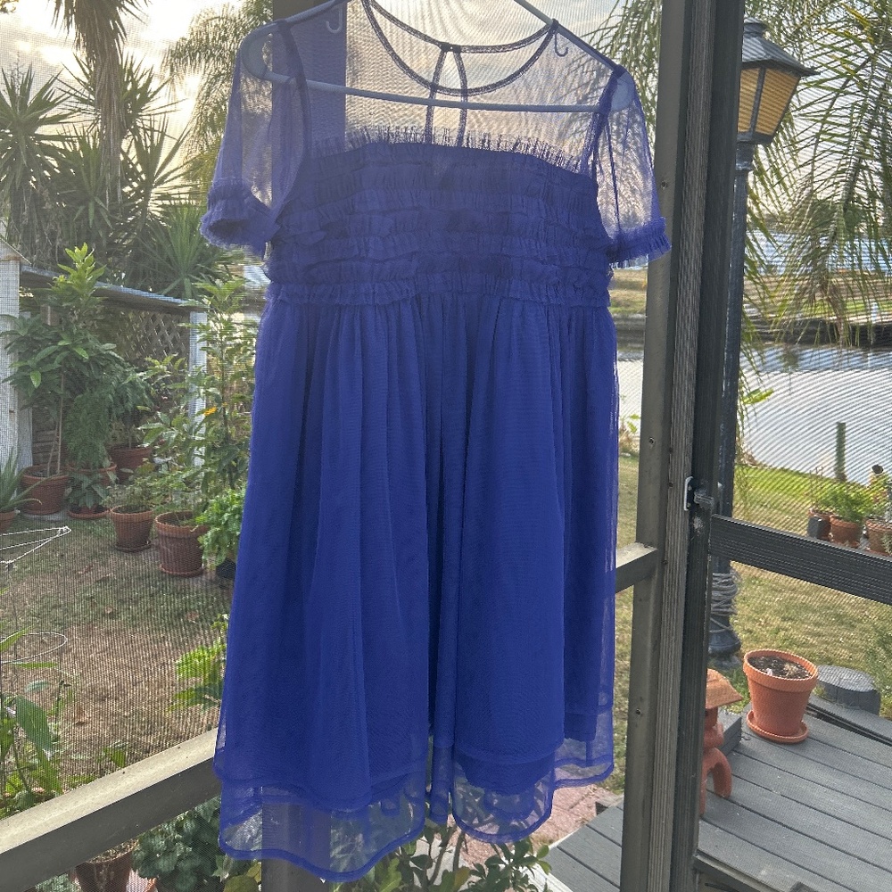 Anthropologie Sheer Ruffled Tulle Mini Dress